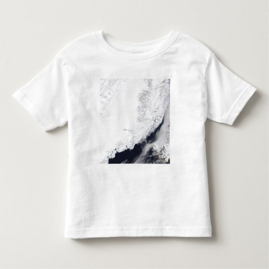 Verschillende soorten zee-ijs kinder shirts (Voorkant)