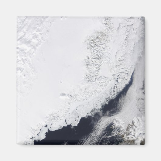 Verschillende soorten zee-ijs magneet (Voorkant)