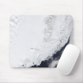 Verschillende soorten zee-ijs muismat (Met muis)