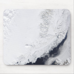 Verschillende soorten zee-ijs muismat