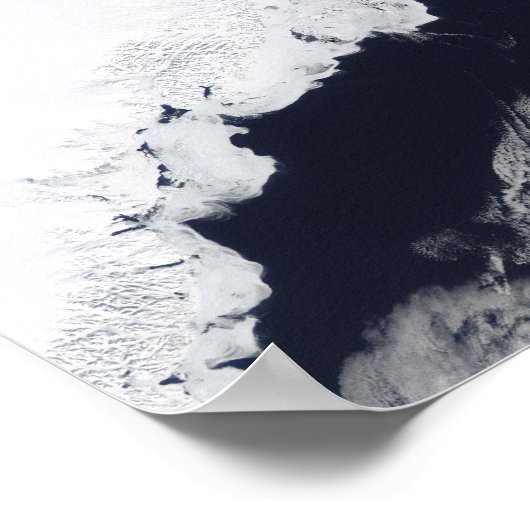 Verschillende soorten zee-ijs poster (Hoek)