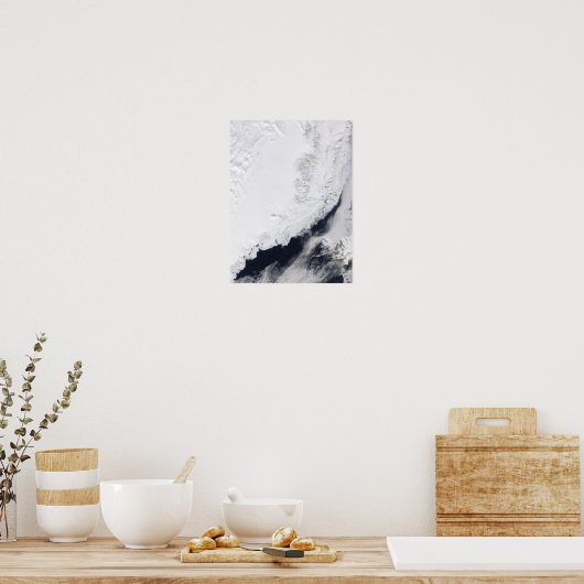 Verschillende soorten zee-ijs poster (Keuken)