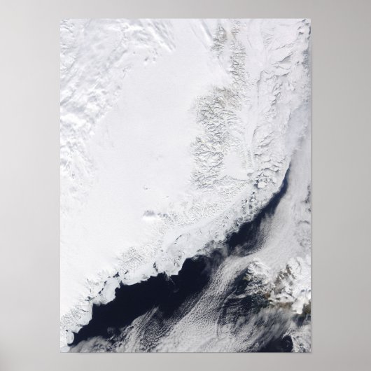 Verschillende soorten zee-ijs poster (Voorkant)