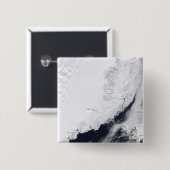 Verschillende soorten zee-ijs vierkante button 5,1 cm (Voorkant /achterkant)