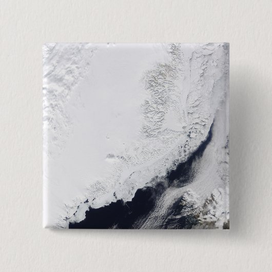 Verschillende soorten zee-ijs vierkante button 5,1 cm (Voorkant)