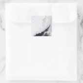 Verschillende soorten zee-ijs vierkante sticker (Tas)