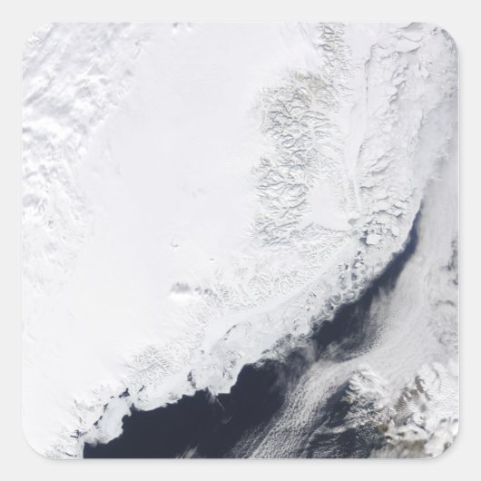 Verschillende soorten zee-ijs vierkante sticker (Voorkant)
