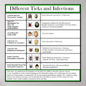 Verschillende Ticks- en Infectieschema Poster (Voorkant)