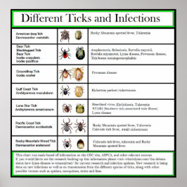 Verschillende Ticks- en Infectieschema Poster