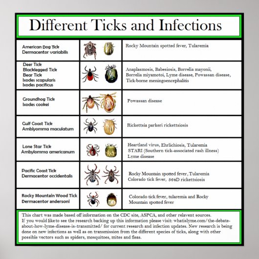 Verschillende Ticks- en Infectieschema Poster (Voorkant)