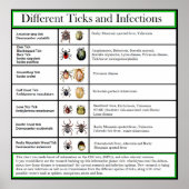 Verschillende Ticks- en Infectieschema Poster (Voorkant)
