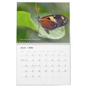 Verschillende vlinders 12-maandenkalender kalender (Mar 2026)