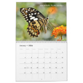 Verschillende vlinders 12-maandenkalender kalender (Jan 2026)