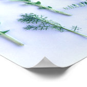 Verschillende vormen Groene bladeren Natuur voelen Poster (Hoek)