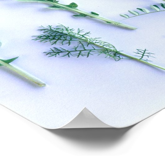 Verschillende vormen Groene bladeren Natuur voelen Poster (Hoek)