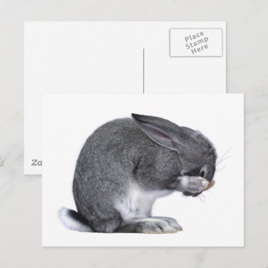 Verschrikkelijk konijn briefkaart (Voorkant / Achterkant)