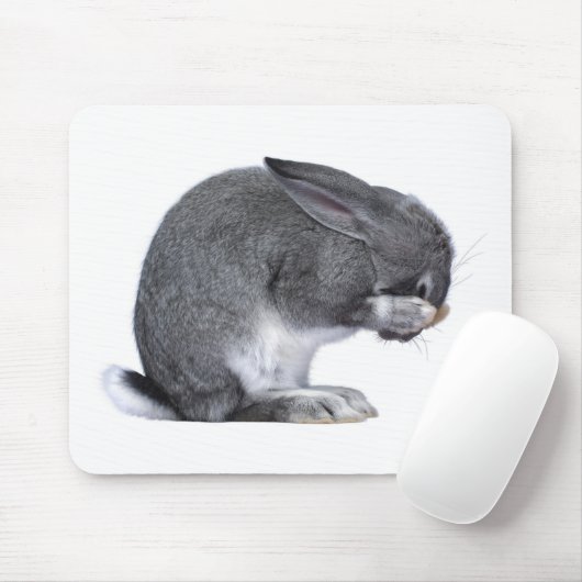 Verschrikkelijk konijn muismat (Met muis)