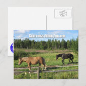 Verschrikking in het Finse platteland Briefkaart (Voorkant / Achterkant)