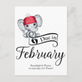Verschuldigd in februari Little Peanut Baby Elepha Briefkaart (Voorkant)