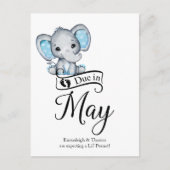 Verschuldigd in mei Little Peanut Baby Elephant Briefkaart (Voorkant)