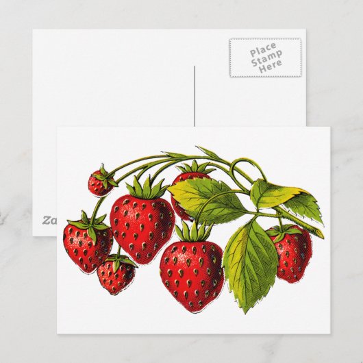 Verse aardbeien briefkaart (Voorkant / Achterkant)