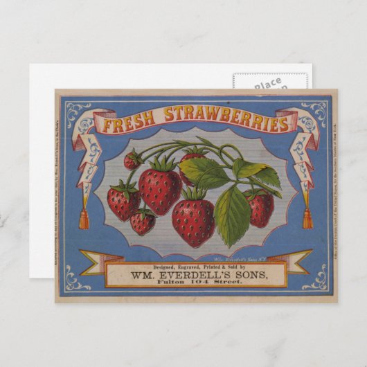 Verse aardbeien briefkaart (Voorkant / Achterkant)