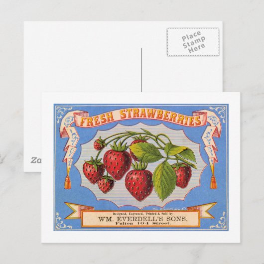 Verse aardbeien briefkaart (Voorkant / Achterkant)