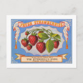 Verse aardbeien briefkaart (Voorkant)