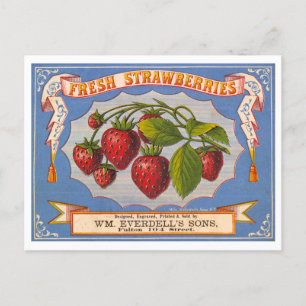 Verse aardbeien  lithografie Adverteren Briefkaart