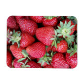 verse aardbeien magneet (Horizontaal)