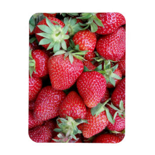 verse aardbeien magneet