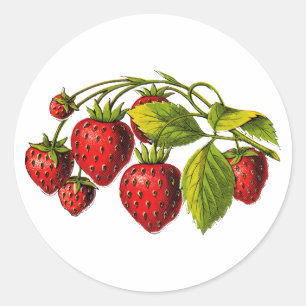 Verse aardbeien ronde sticker