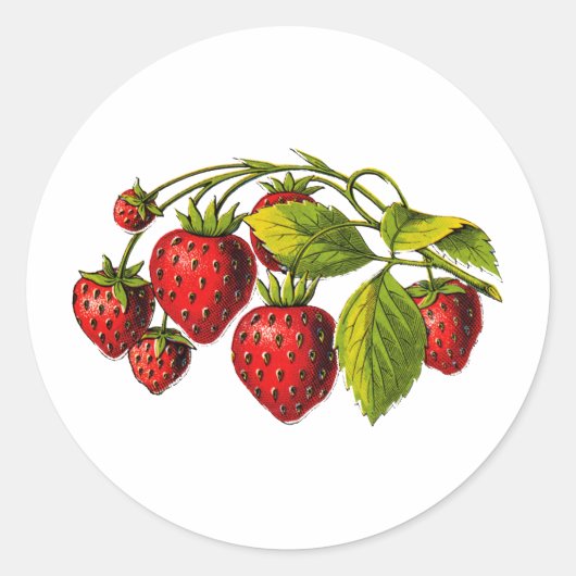 Verse aardbeien ronde sticker (Voorkant)