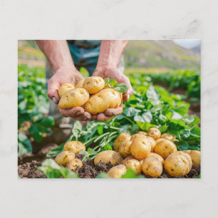 Verse Baby aardappelen in de tuin Feestdagenkaart
