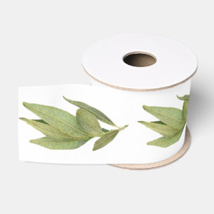 VERSE BAYBLADEREN 3" Breed Grosgrain Lint
