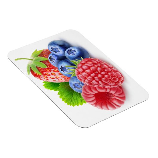 Verse bessen magneet (Rechterzijde)