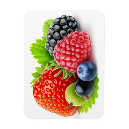 Verse bessen magneet (Verticaal)