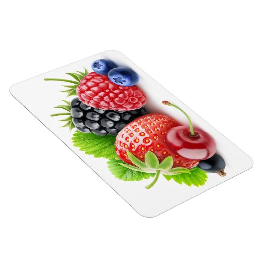 Verse bessen magneet (Rechterzijde)