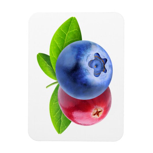 Verse bessen magneet (Verticaal)