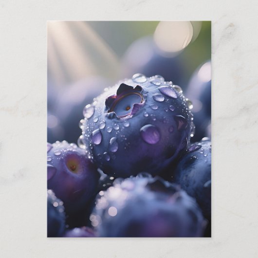 Verse Blauwe Bosbessen Close Up Briefkaart (Voorkant)