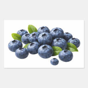 Verse Blauwe Bosbessen met Bladeren Sticker
