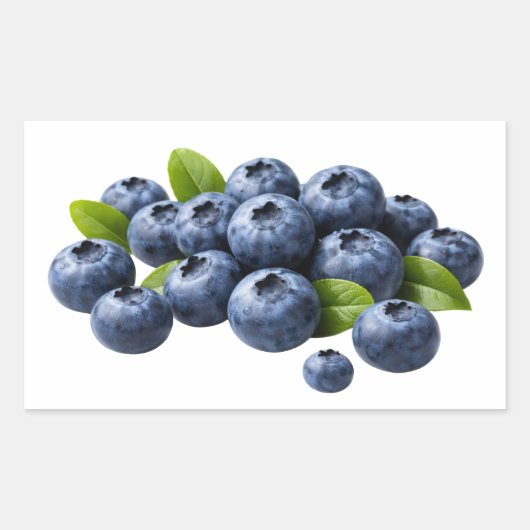 Verse Blauwe Bosbessen met Bladeren Sticker (Voorkant)