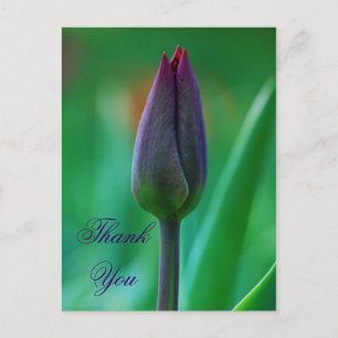 Verse bloeiende paarse tulp bedankkaart briefkaart