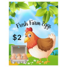 Verse boerderij-eieren Zakelijke promotie flyer