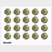 Verse bos selderij op hout ronde sticker (Vel)