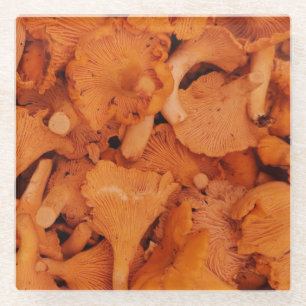 Verse Cantharel Paddenstoelen Fotografie Glazen Onderzetter