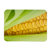 Verse Corn magnet Magneet (Horizontaal)