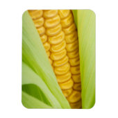 Verse Corn magnet Magneet (Verticaal)