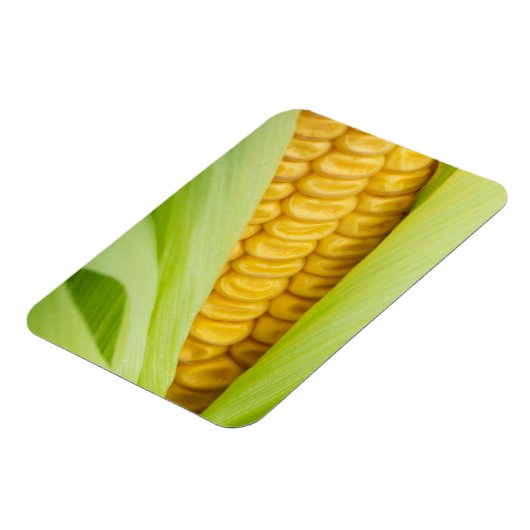 Verse Corn magnet Magneet (Linkerzijde)