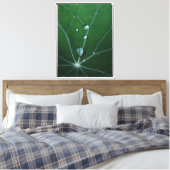 Verse Dauw Druppels Canvas Afdruk (Insitu (Slaapkamer))